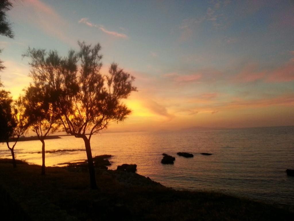 Bed & Breakfast Antica Botte