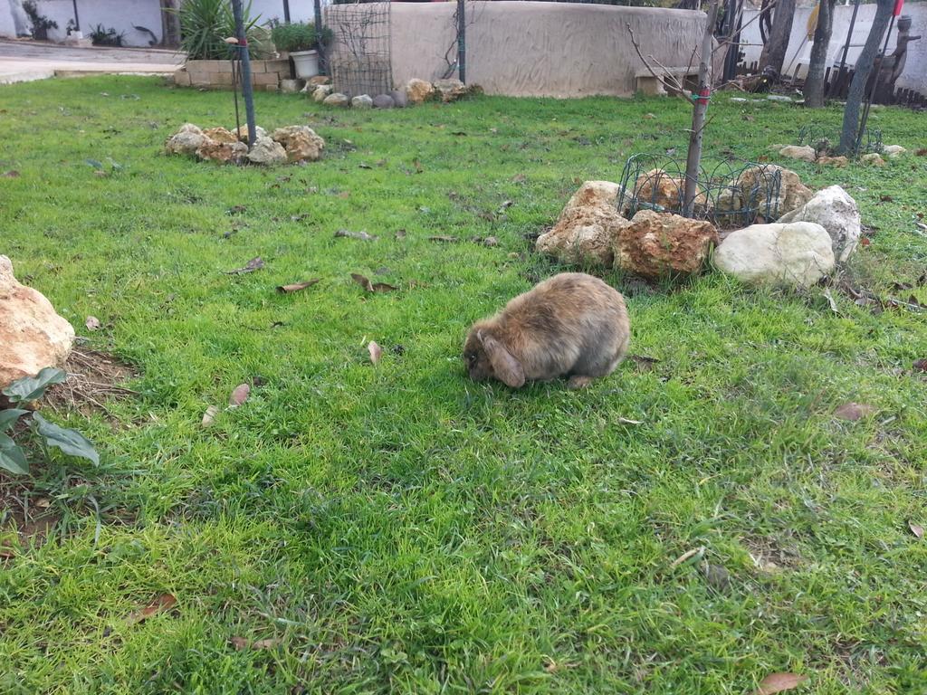 Antica Botte Bed & Breakfast