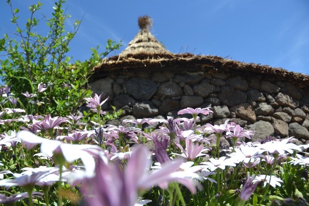 Antica Botte Bed & Breakfast