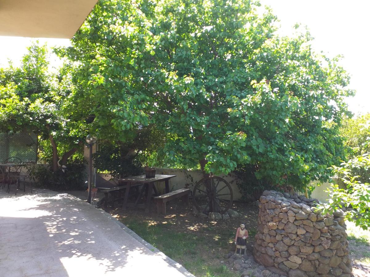 B&B Antica Botte Sassari Bed & Breakfast