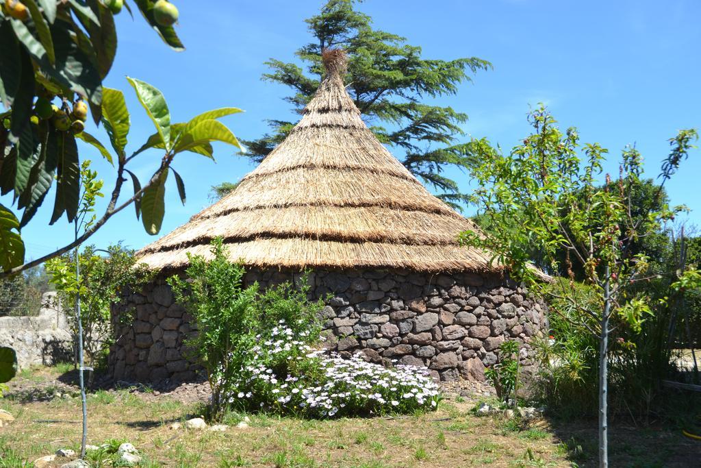 Bed & Breakfast B&B Antica Botte Sassari